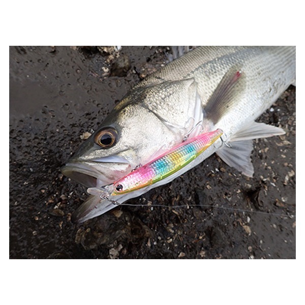 ショアラインシャイナーＺ　バーティスＲ　１２５Ｆ－ＬＩ　／　１２５Ｓ－ＬＩ